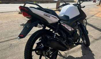 YAMAHA  FACTOR 150 FLEX 2023 full