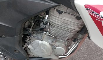 HONDA CB 300R FLEX 2015 full