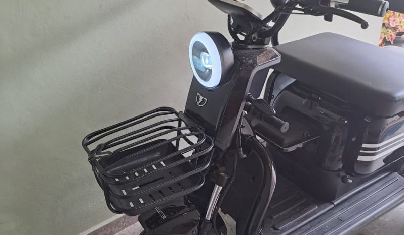 TRICICLO ELÉTRICO 2025 full