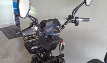 TRICICLO ELÉTRICO 2025 full