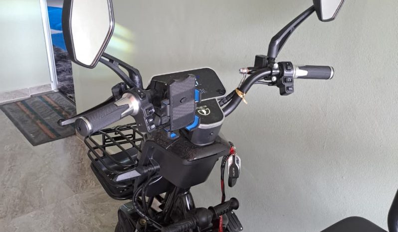 TRICICLO ELÉTRICO 2025 full