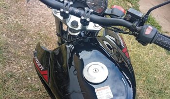 YAMAHA FAZER EDITION 250 FLEX 2013 full