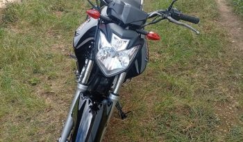 YAMAHA FAZER EDITION 250 FLEX 2013 full