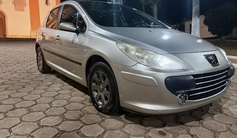 PEUGEOT 307 PRESENCE 1.6 FLEX 2008 full