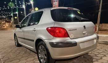 PEUGEOT 307 PRESENCE 1.6 FLEX 2008 full