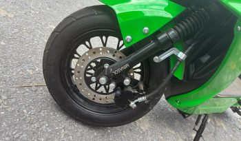 MINASOL BICICLETA ELÉTRICA 1000W 48V 2026 full