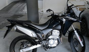 HONDA XRE 300 FLEX ABS 2019 full