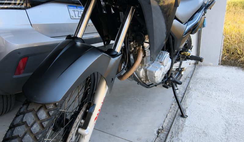 HONDA XRE 300 FLEX ABS 2019 full